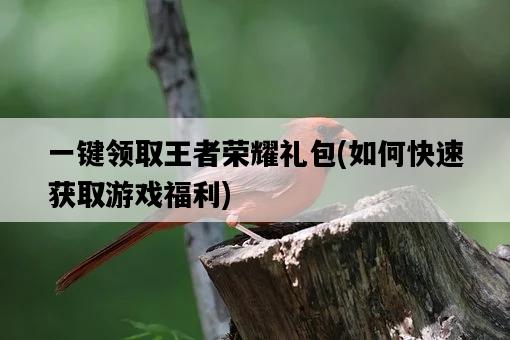 一鍵領取王者榮耀禮包，如何快速獲取游戲福利-圖1