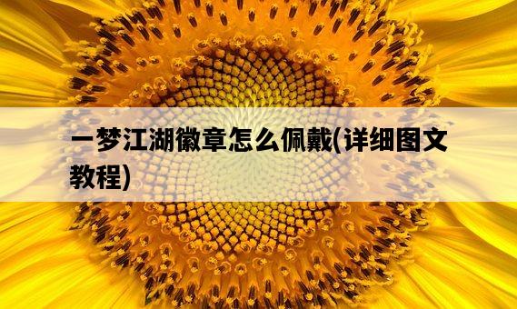 一夢江湖徽章怎么佩戴，詳細圖文教程-圖1