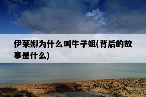 伊萊娜為什么叫牛子姐，背后的故事是什么-圖1