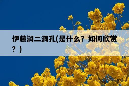 伊藤潤二洞孔，是什么？如何欣賞？-圖1
