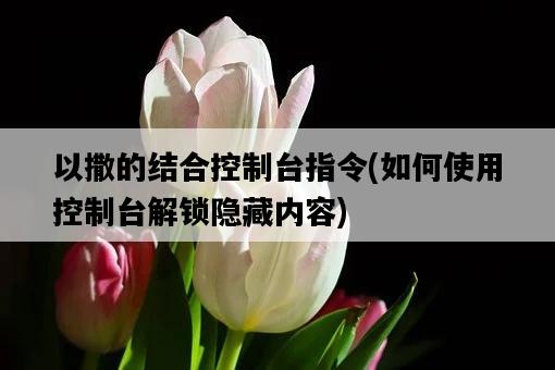 以撒的結合控制臺指令，如何使用控制臺解鎖隱藏內容-圖1