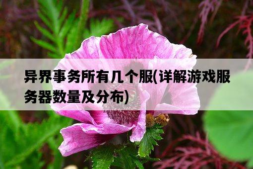 異界事務所有幾個服，詳解游戲服務器數量及分布-圖1