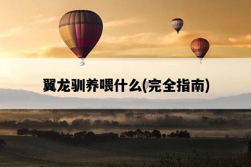 翼龍馴養喂什么，完全指南-圖1