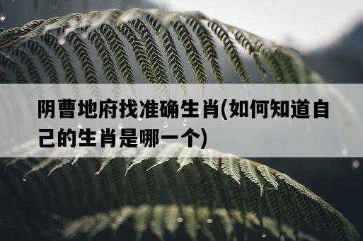 陰曹地府找準確生肖，如何知道自己的生肖是哪一個-圖1