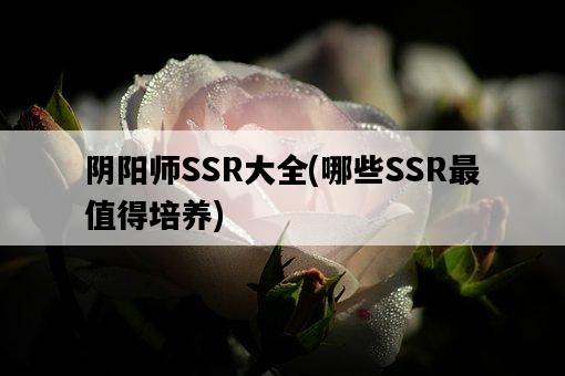 陰陽師SSR大全，哪些SSR最值得培養-圖1