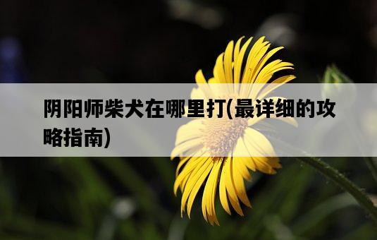 陰陽師柴犬在哪里打，最詳細的攻略指南-圖1