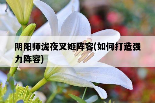 陰陽師瀧夜叉姬陣容，如何打造強力陣容-圖1