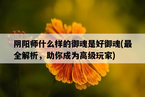 陰陽師什么樣的御魂是好御魂，最全解析，助你成為高級玩家-圖1