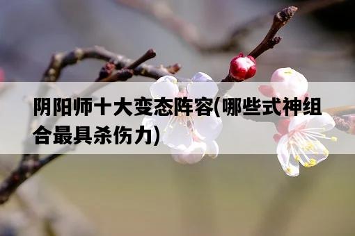 陰陽師十大變態陣容，哪些式神組合最具殺傷力-圖1