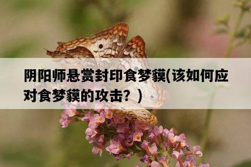 陰陽師懸賞封印食夢貘，該如何應對食夢貘的攻擊？-圖1