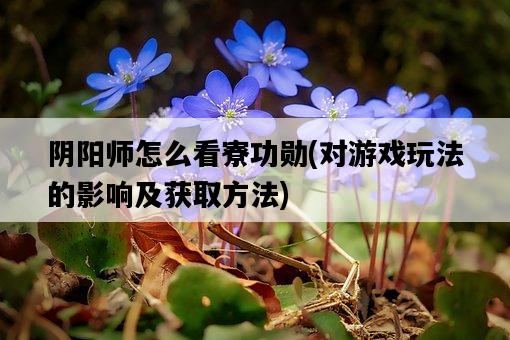 陰陽師怎么看寮功勛，對游戲玩法的影響及獲取方法-圖1