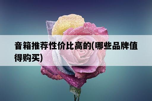 音箱推薦性價比高的，哪些品牌值得購買-圖1
