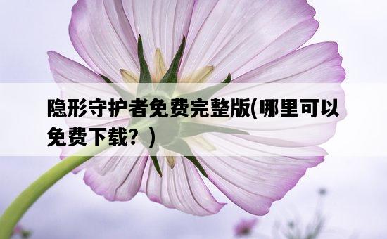 隱形守護者免費完整版，哪里可以免費下載？-圖1