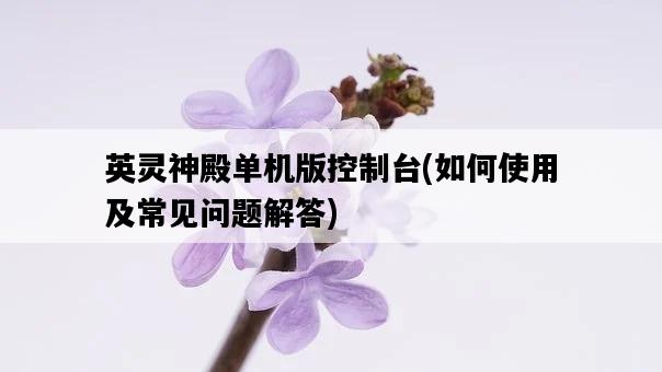 英靈神殿單機版控制臺，如何使用及常見問題解答-圖1