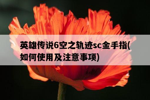英雄傳說6空之軌跡sc金手指，如何使用及注意事項-圖1
