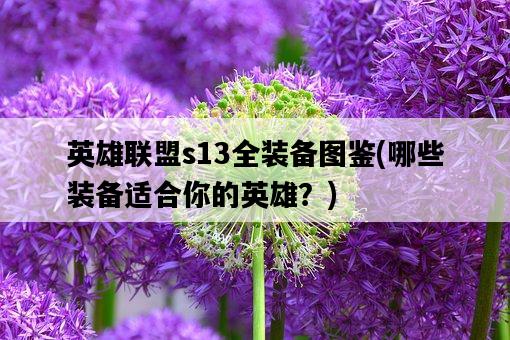 英雄聯盟s13全裝備圖鑒，哪些裝備適合你的英雄？-圖1