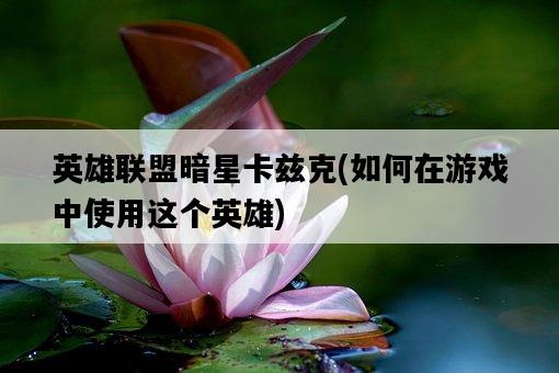 英雄聯盟暗星卡茲克，如何在游戲中使用這個英雄-圖1