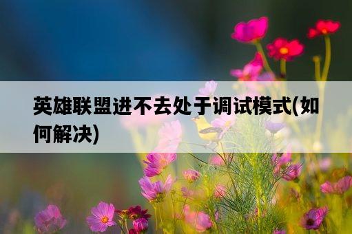 英雄聯盟進不去處于調試模式，如何解決-圖1
