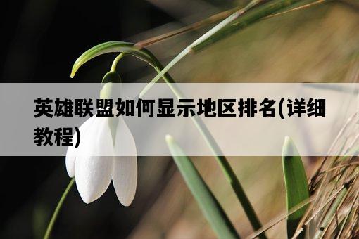 英雄聯盟如何顯示地區排名，詳細教程-圖1