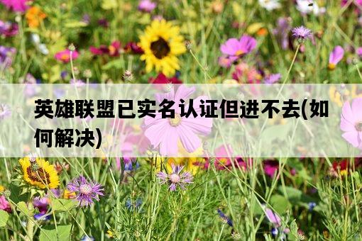 英雄聯盟已實名認證但進不去，如何解決-圖1