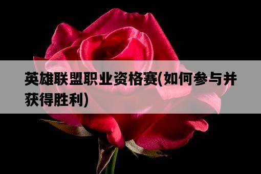 英雄聯盟職業資格賽，如何參與并獲得勝利-圖1