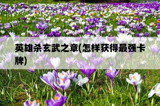 英雄殺玄武之章，怎樣獲得最強卡牌-圖1