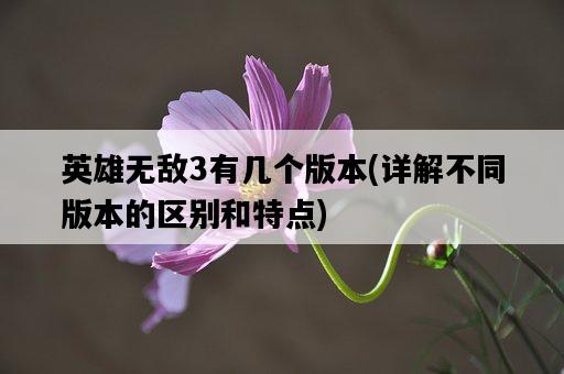 英雄無敵3有幾個版本，詳解不同版本的區別和特點-圖1
