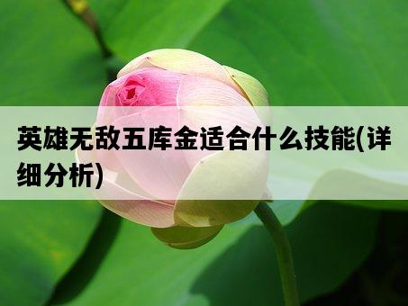 英雄無敵五庫金適合什么技能，詳細分析-圖1