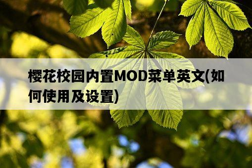 櫻花校園內置MOD菜單英文，如何使用及設置-圖1