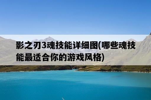 影之刃3魂技能詳細圖，哪些魂技能最適合你的游戲風格-圖1