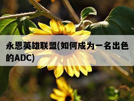 永恩英雄聯盟，如何成為一名出色的ADC-圖1