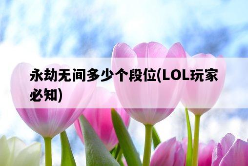 永劫無間多少個段位，LOL玩家必知-圖1