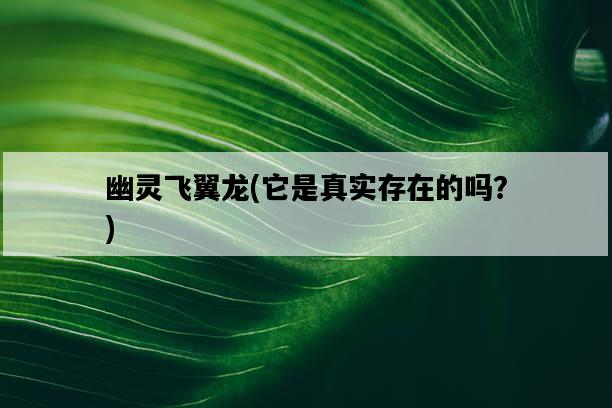 幽靈飛翼龍，它是真實存在的嗎？-圖1