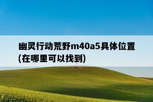 幽靈行動荒野m40a5具體位置，在哪里可以找到-圖1