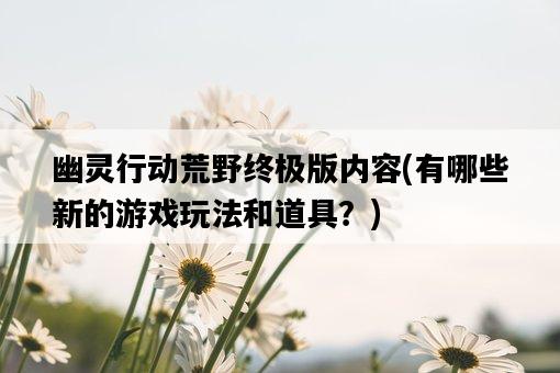 幽靈行動荒野終極版內容，有哪些新的游戲玩法和道具？-圖1