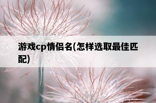 游戲cp情侶名，怎樣選取最佳匹配-圖1