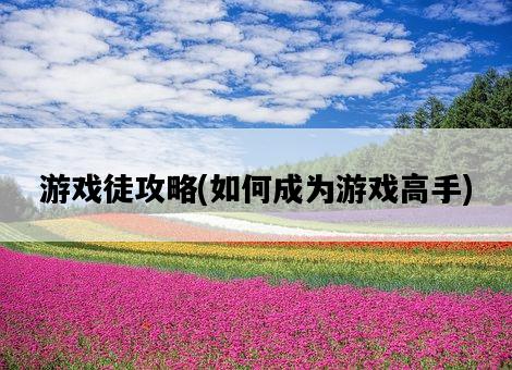 游戲徒攻略，如何成為游戲高手-圖1