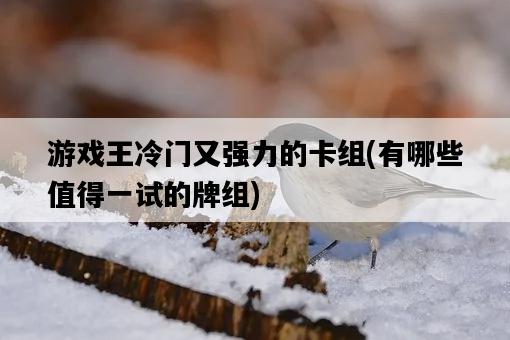 游戲王冷門又強力的卡組，有哪些值得一試的牌組-圖1