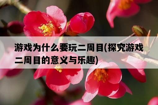 游戲為什么要玩二周目，探究游戲二周目的意義與樂趣-圖1