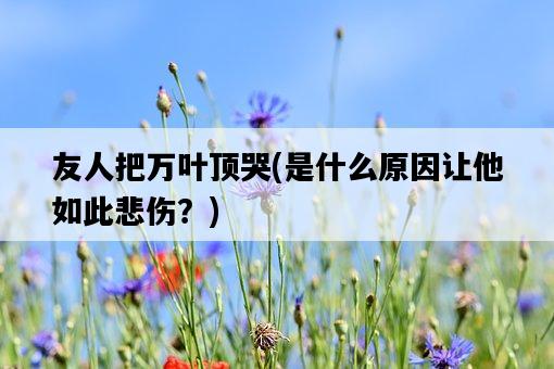 友人把萬葉頂哭，是什么原因讓他如此悲傷？-圖1