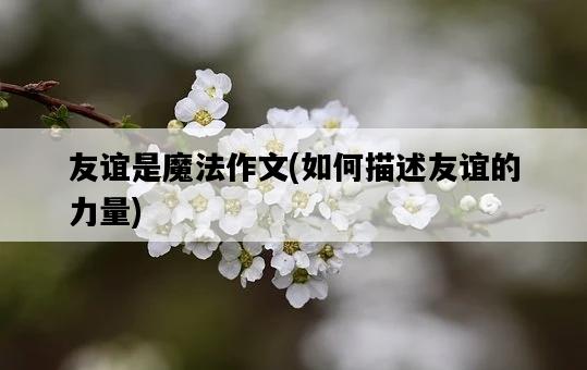 友誼是魔法作文，如何描述友誼的力量-圖1