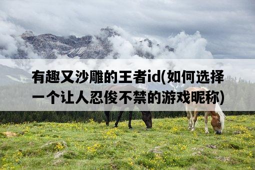 有趣又沙雕的王者id，如何選擇一個讓人忍俊不禁的游戲昵稱-圖1