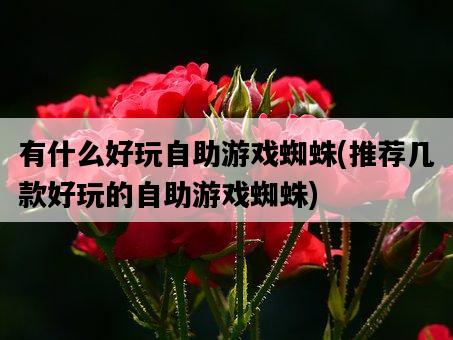 有什么好玩自助游戲蜘蛛，推薦幾款好玩的自助游戲蜘蛛-圖1