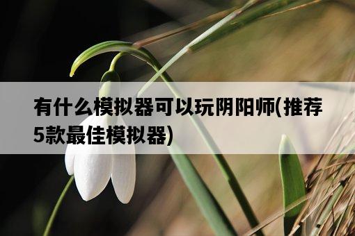 有什么模擬器可以玩陰陽師，推薦5款最佳模擬器-圖1