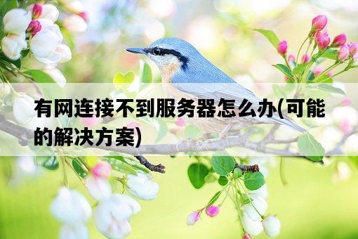 有網連接不到服務器怎么辦，可能的解決方案-圖1