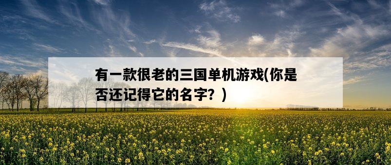 有一款很老的三國單機游戲，你是否還記得它的名字？-圖1