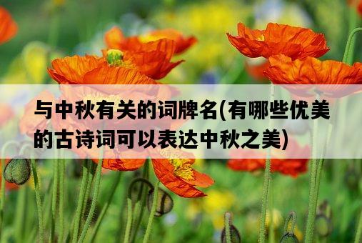 與中秋有關的詞牌名，有哪些優美的古詩詞可以表達中秋之美-圖1