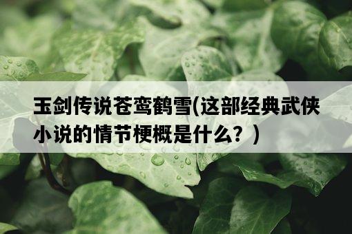 玉劍傳說蒼鸞鶴雪，這部經典武俠小說的情節梗概是什么？-圖1