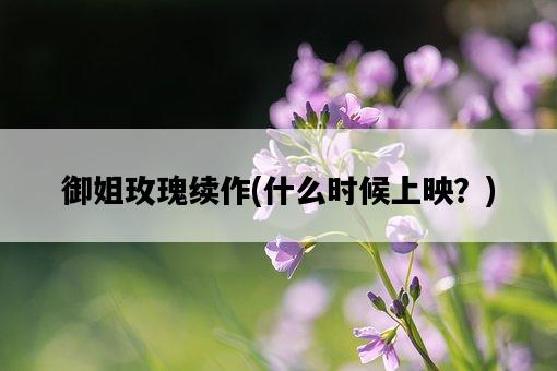 御姐玫瑰續作，什么時候上映？-圖1