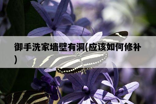 御手洗家墻壁有洞，應該如何修補-圖1